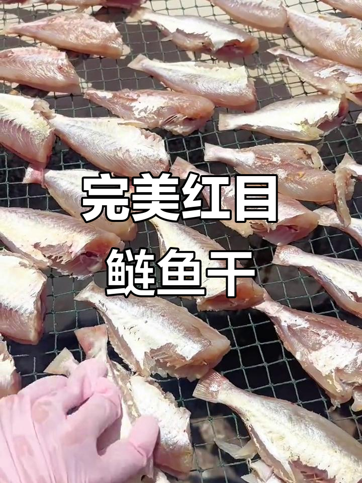 红目鲢鱼干,新鲜美味无刺,晒制工艺超赞