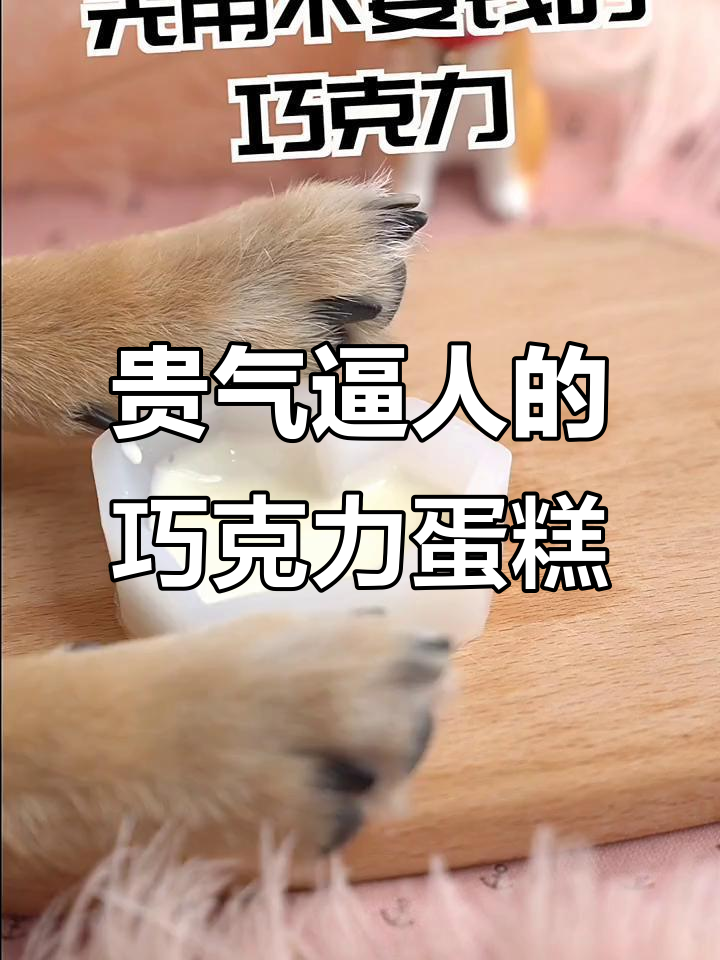 顾里生日惊喜！粉嫩巧克力蛋糕，爱心壳与金箔装饰