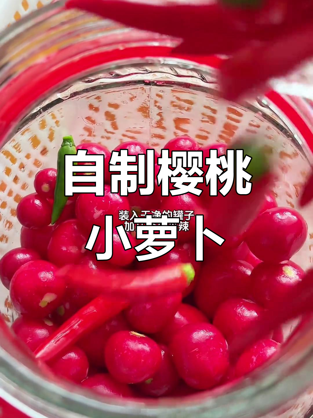酸脆樱桃小萝卜,清爽解腻泡菜做法