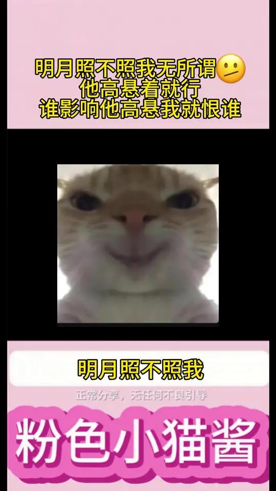 明月照不照我无所谓他高悬着就行谁影响他高悬我就恨谁 明月照不照我无所谓 他高悬着就行 谁影