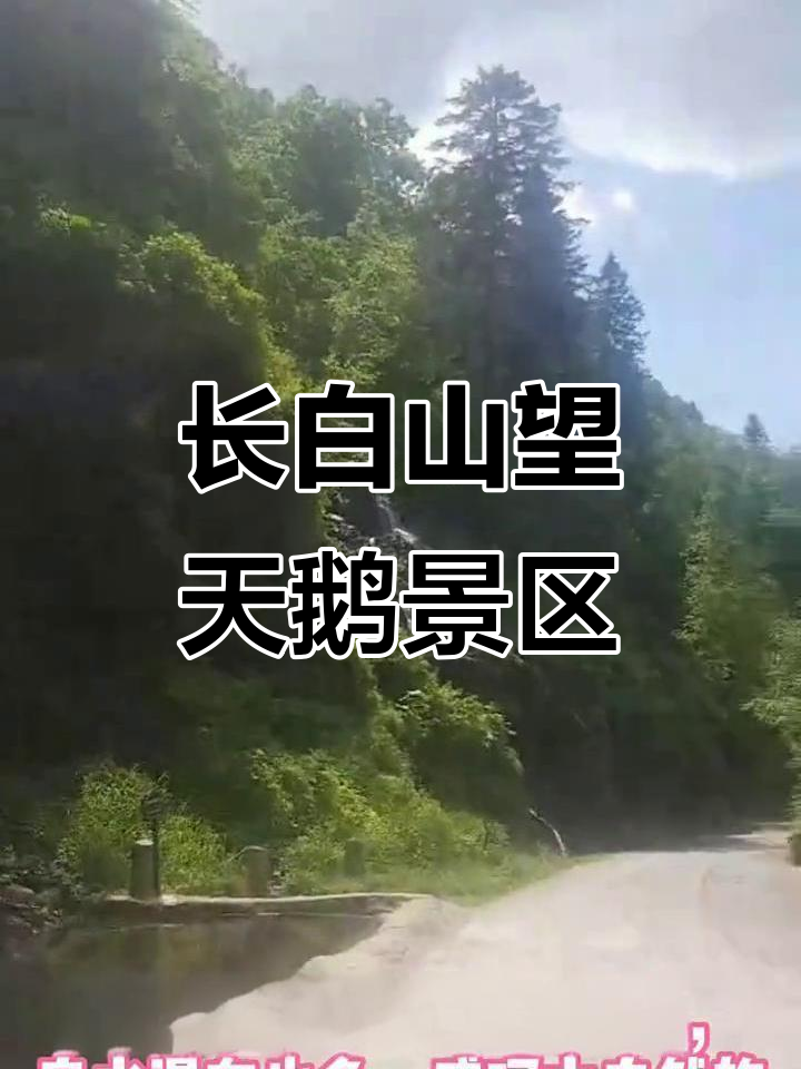 长白山望天鹅景区