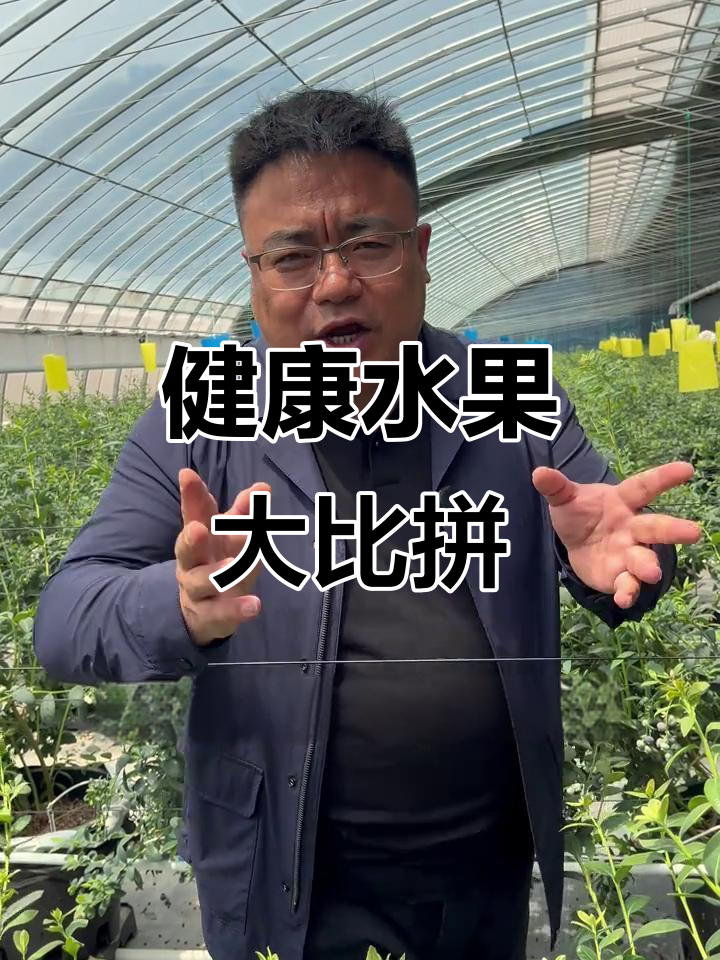 全球五大营养水果,你最爱哪一种?