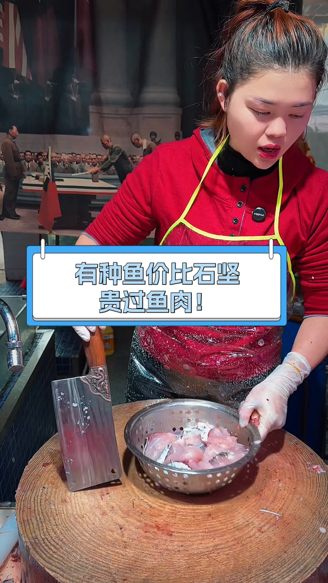 有种鱼价比石坚,贵过鱼肉!