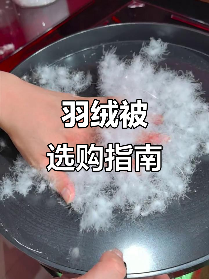 预算有限？选鸭绒被，蓬松又实惠！