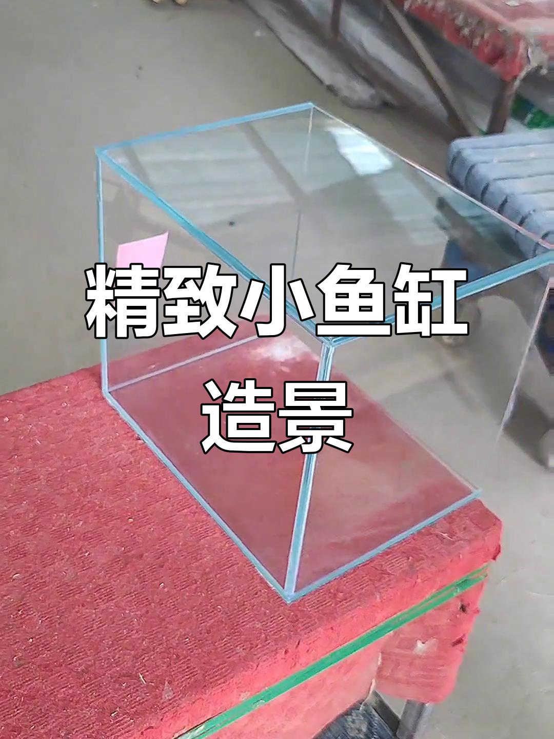 小型鱼缸造景,打造迷你水族世界