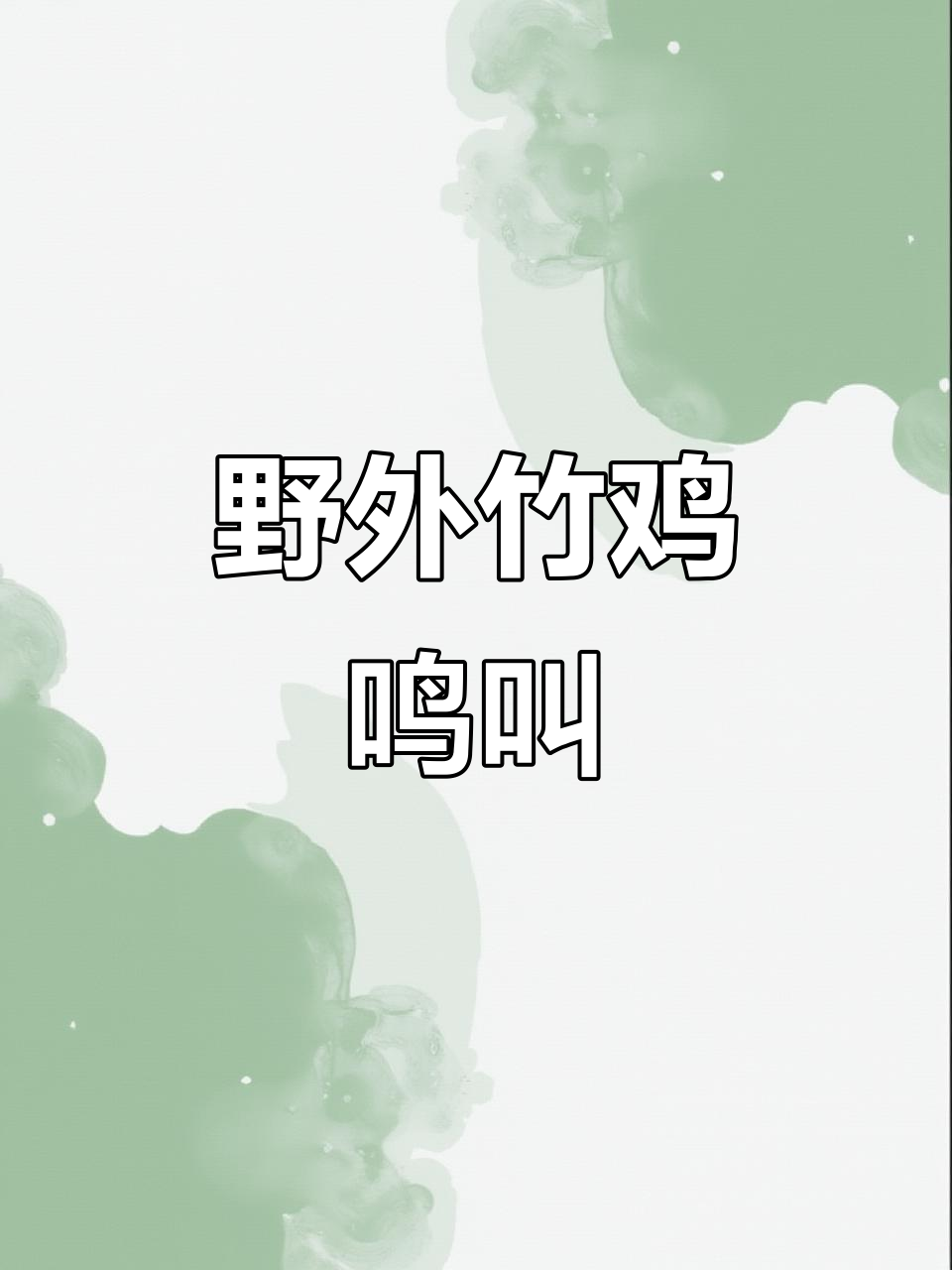 真实户外竹鸡叫声,感受大自然的和谐旋律