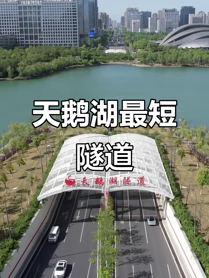 合肥天鹅湖隧道:短到让人惊讶,为何不建桥?