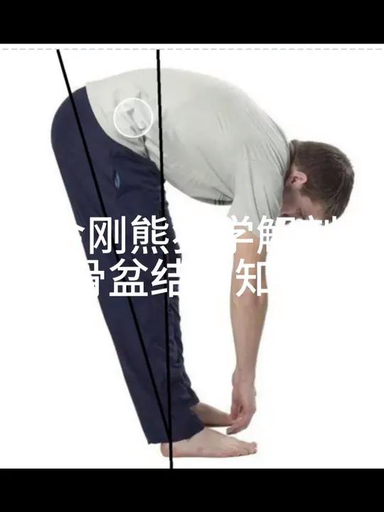 骨盆的肌肉结构知识分享,了解骨盆的结构。