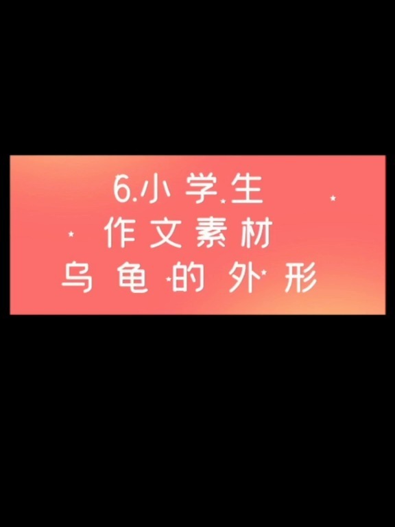6.小学生作文素材积累——乌龟的外形