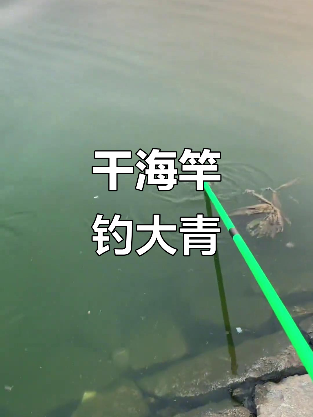 海竿钓大青鱼技巧,你用的方法和我一样吗?