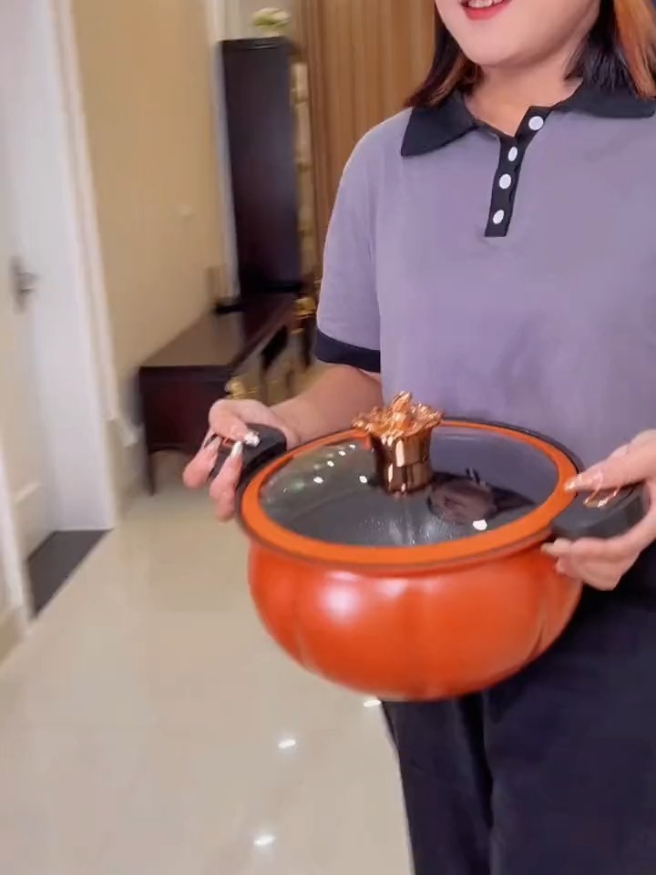 微压锅炖煮炒菜都都行