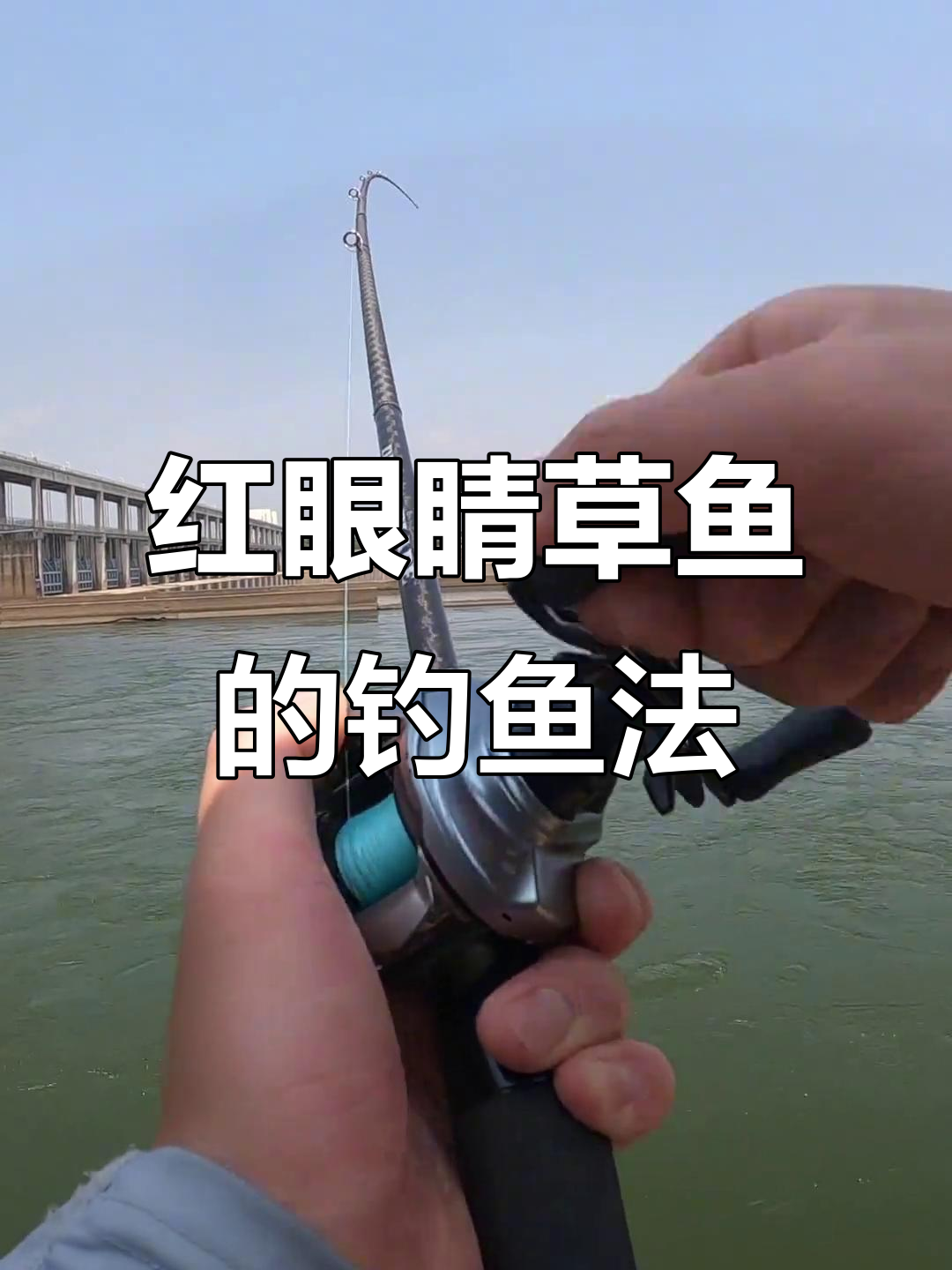 广东钓友揭秘红眼草鱼,路亚技巧大公开