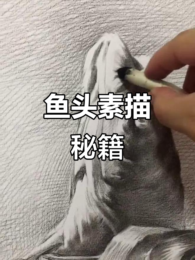 素描鱼头技巧:掌握节奏、虚实与层次,轻松刻画细节