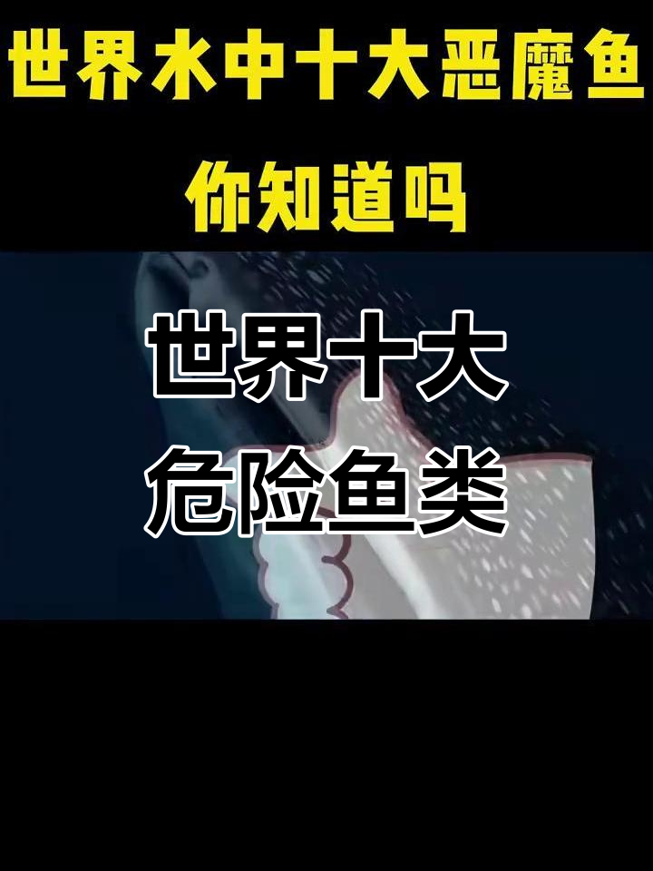 水中十大最危险的恶魔鱼,遇到要小心