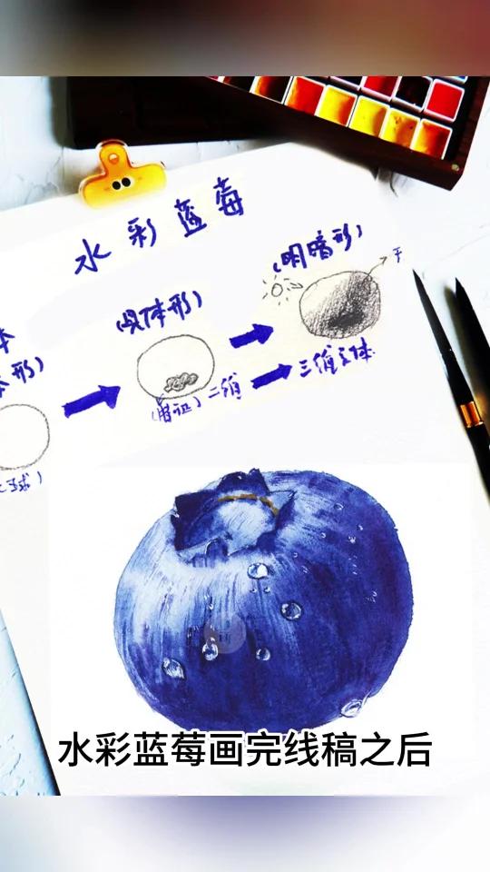 水彩教程｜超简单画出蓝莓的质感~