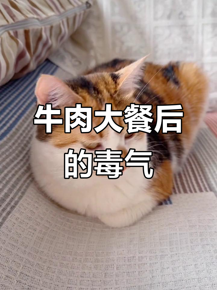 姥爷炖牛肉,萝卜味差点让我中毒