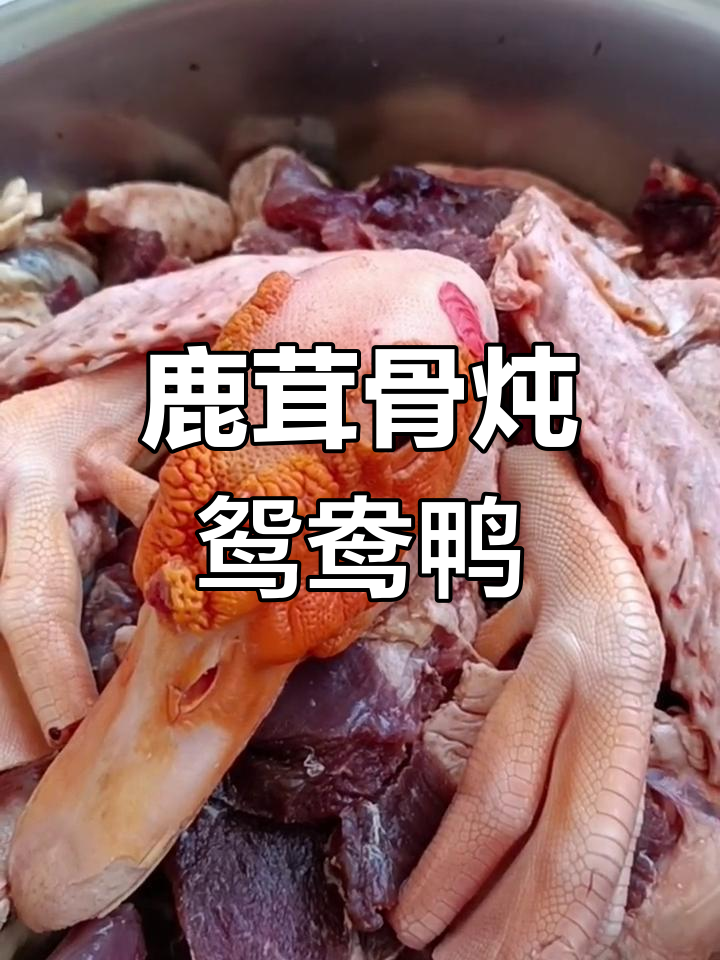 鹿茸菇炖鸳鸯鸭,味道鲜美又滋补