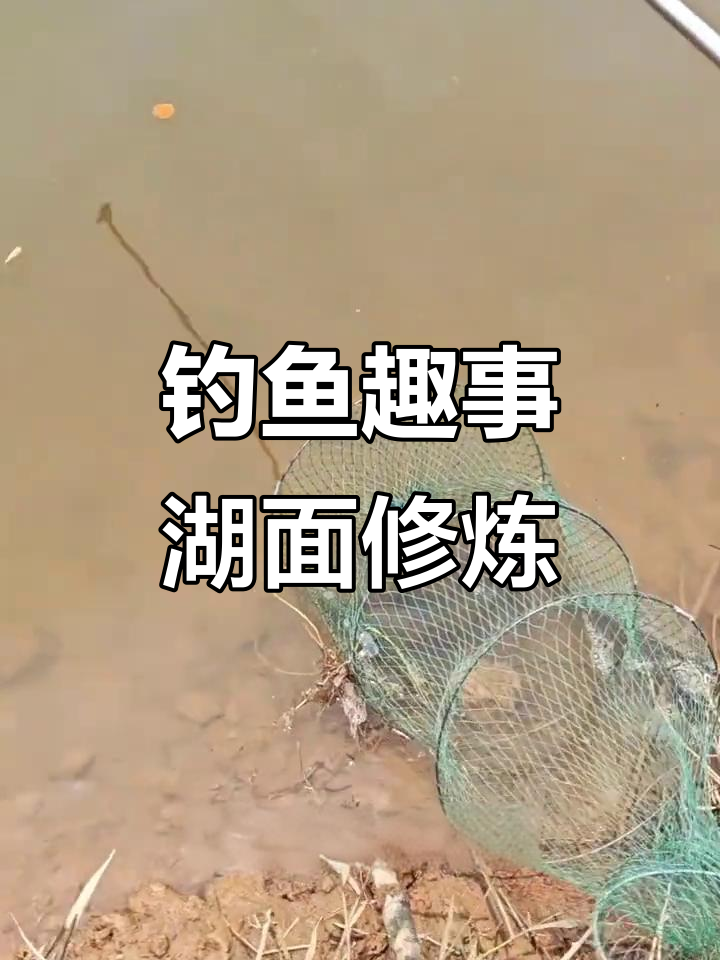 钓鱼翁静待鱼儿上钩,碧波荡漾中的垂钓挑战