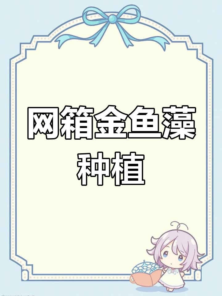 金鱼藻水草的培育方法与作用
