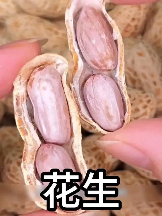 水煮咸干花生日晒咸干农家软糯鲜甜入味好吃不上火观赛搭子