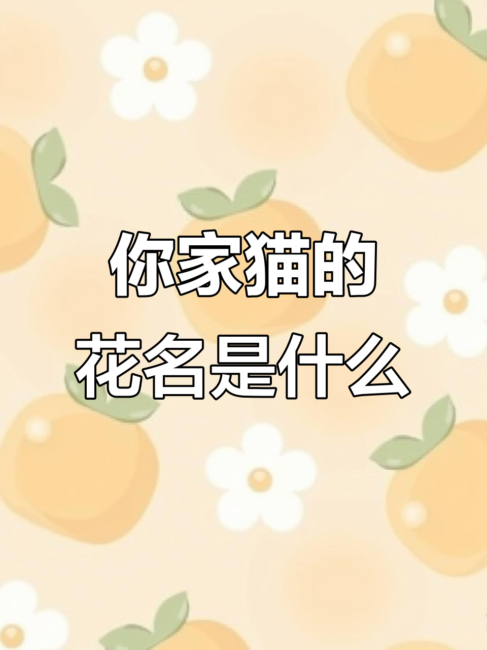 古代猫咪名字大揭秘,你家猫对应哪种花名?