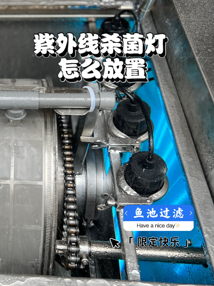 鱼池到底要不要用杀菌灯呢?(二)