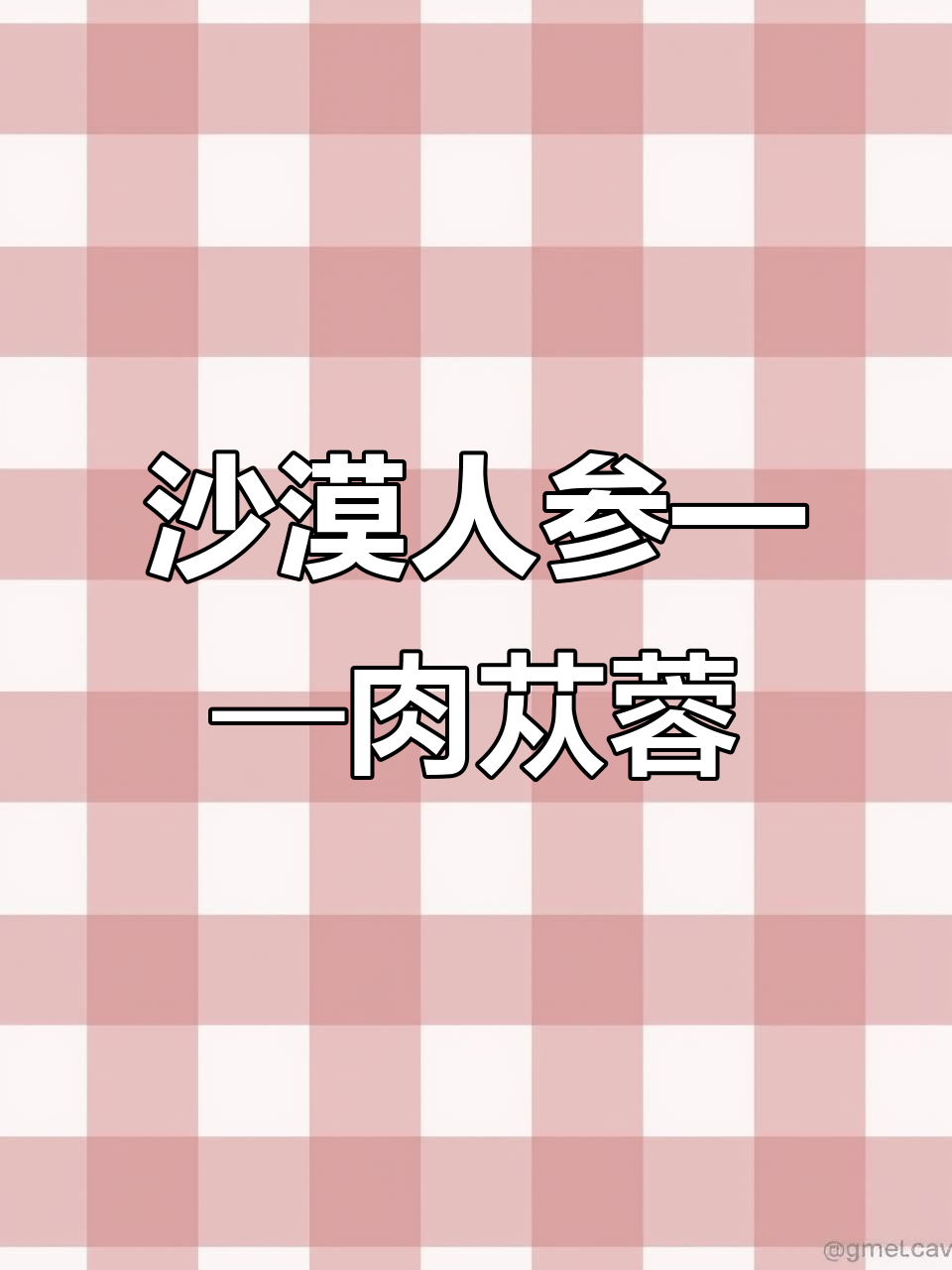 探秘沙漠珍品肉苁蓉:滋补与治沙的完美结合