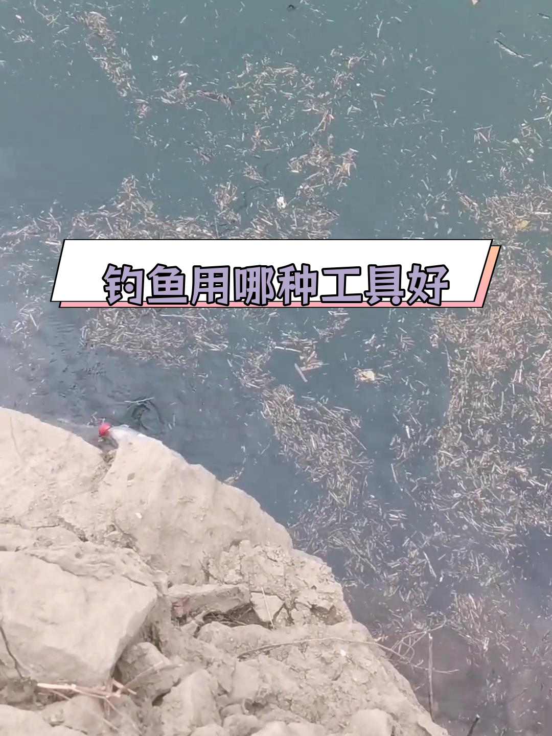 野钓时,鱼护与活鱼扣哪个更好?