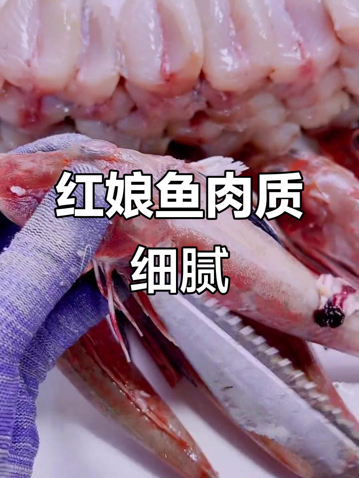 野生红娘鱼，肉质鲜美无泥腥味，清蒸油炸都美味
