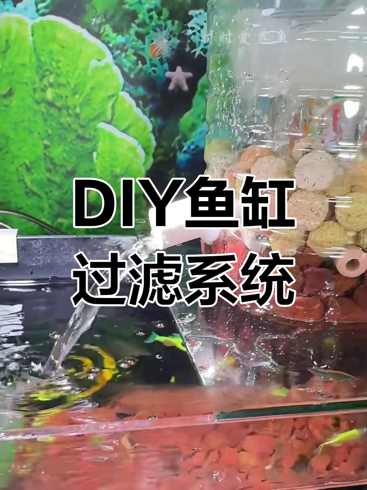 自制鱼缸过滤器,简单又实用!