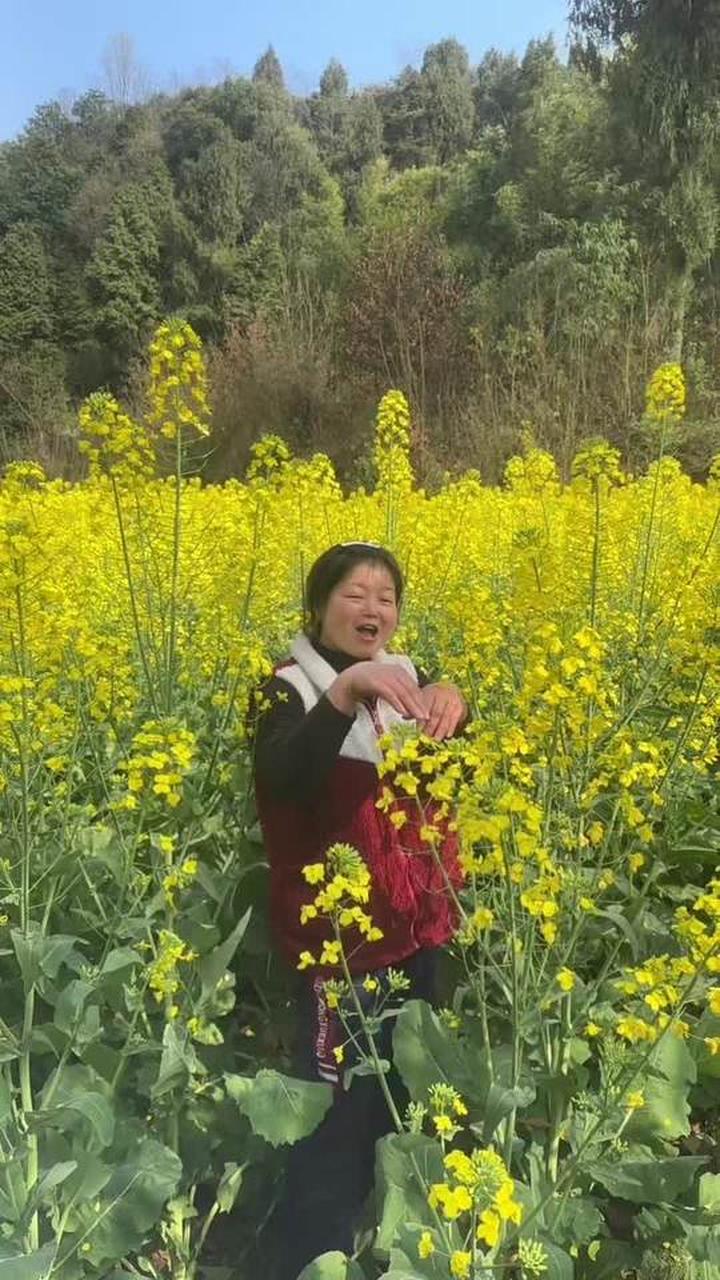 油菜花盛开，一起感受春天的气息