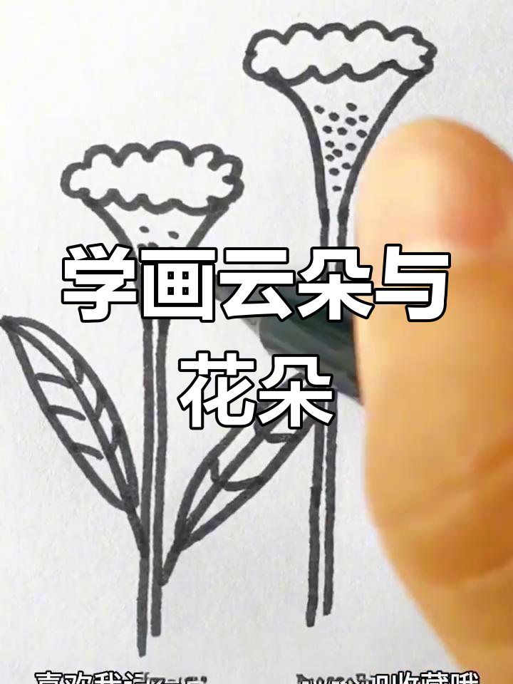 简单几步画出鸡冠花
