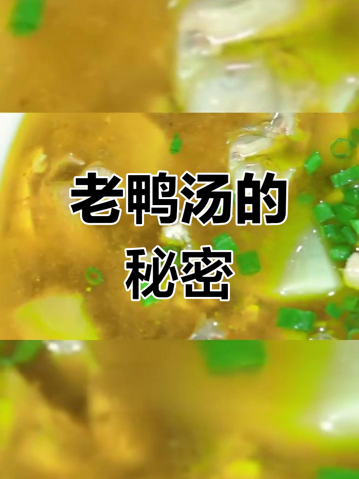 这款老鸭汤底料,让家常味更鲜美!