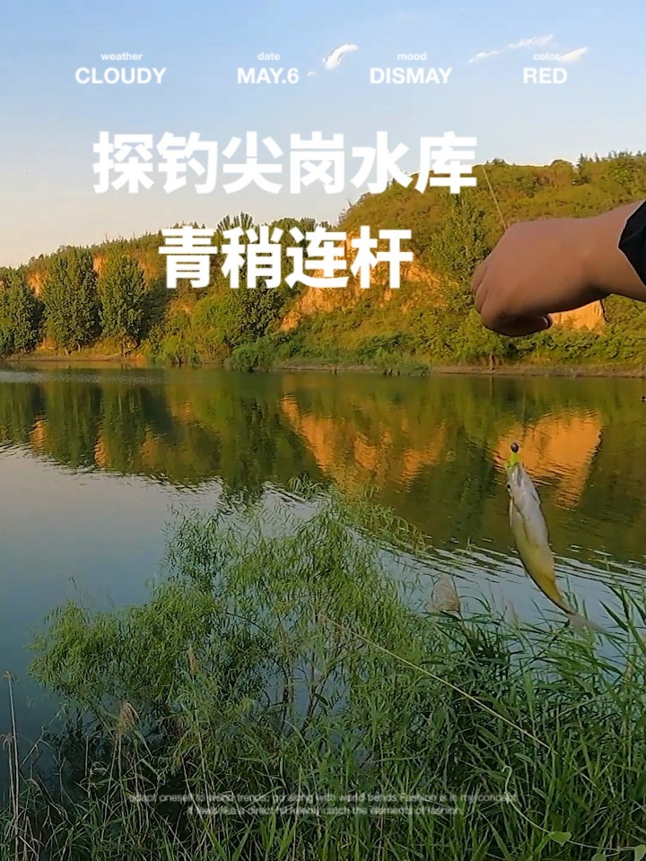 探钓尖岗水库,找到鱼后,青稍连杆