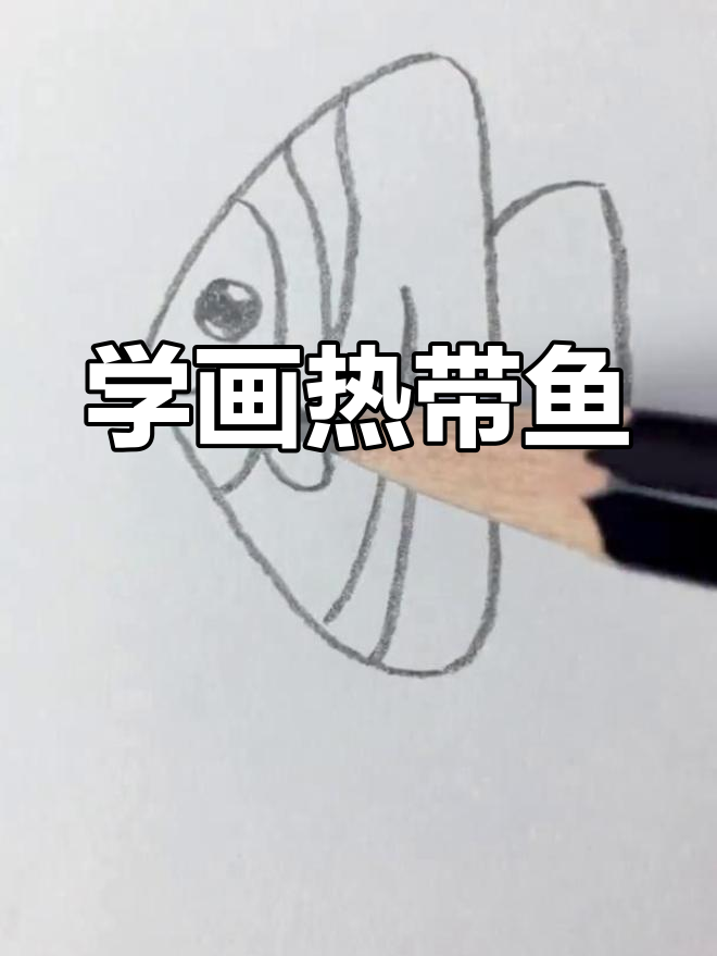 轻松学画热带鱼,简笔画教程来啦!