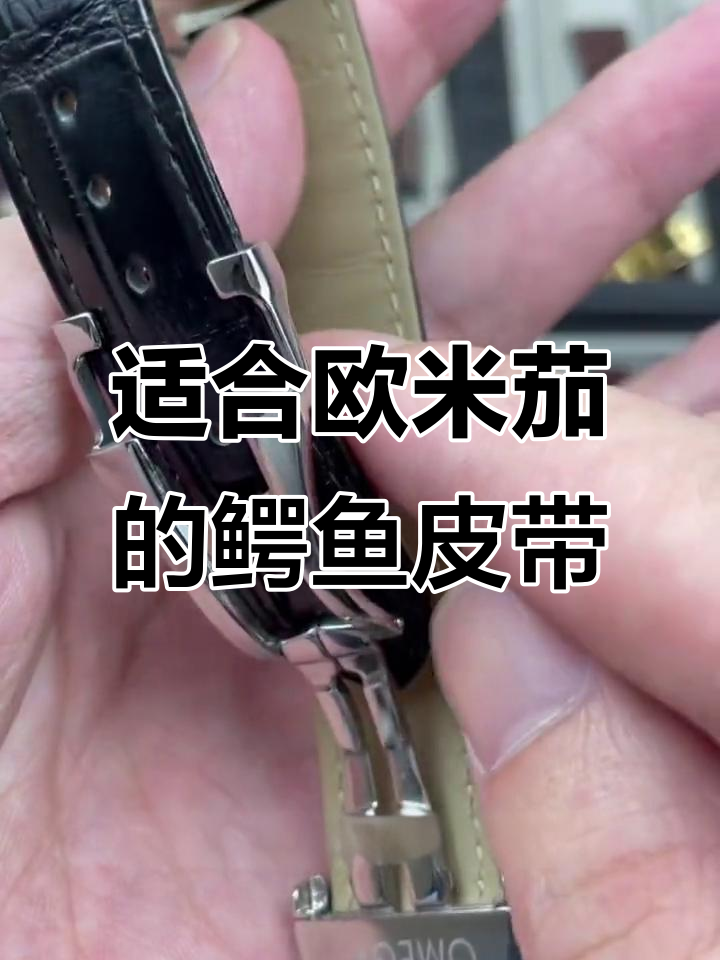这款鳄鱼皮表带最适合哪种欧米茄腕表?