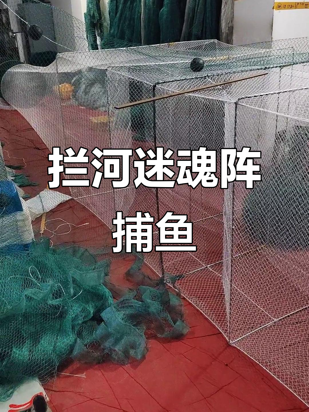 迷魂阵网顺水捕鱼，轻松拿获各种鱼类