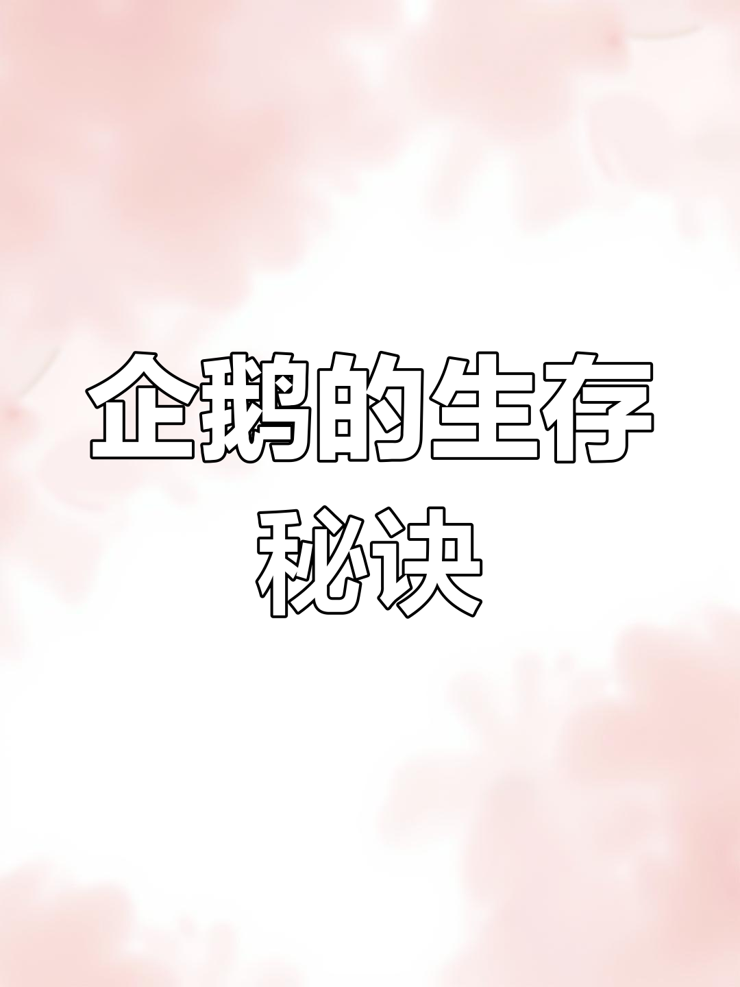 企鹅黑白伪装,巧妙逃脱天敌!