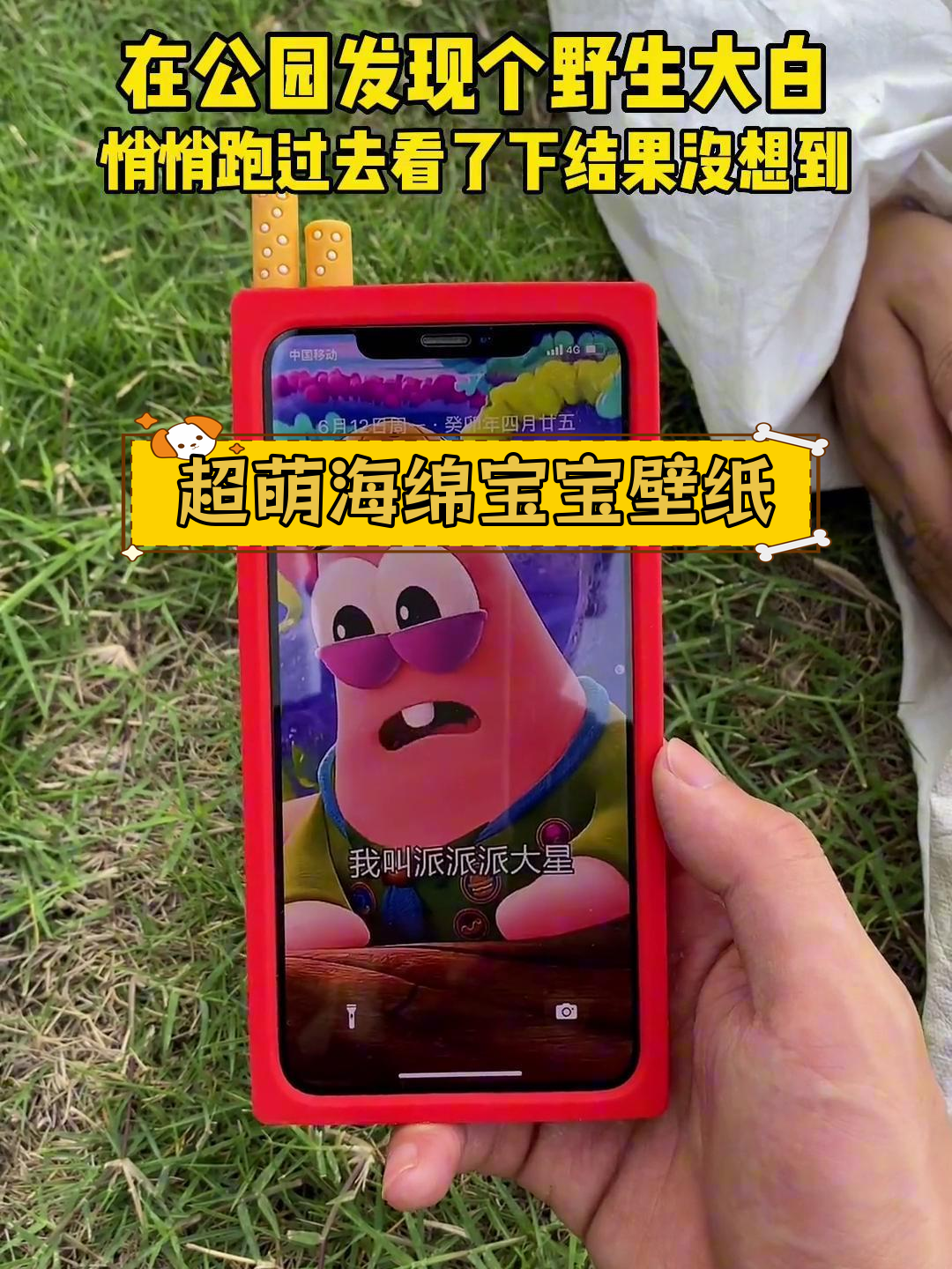 海绵宝宝动态壁纸,超萌可爱