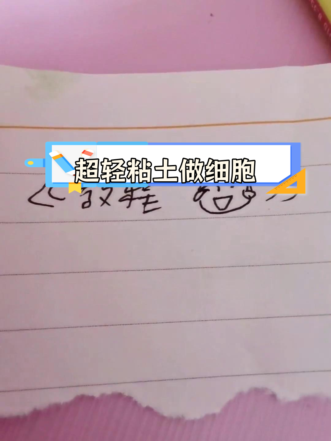 简单教程:用超轻粘土制作细胞器模型