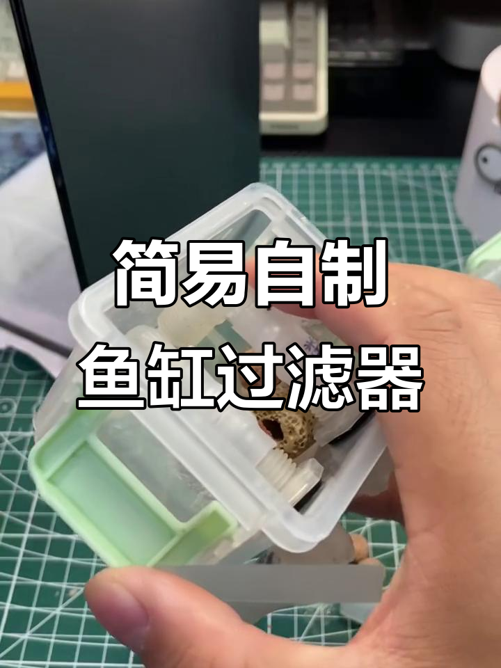 自制迷你鱼缸过滤系统,超简单DIY教程