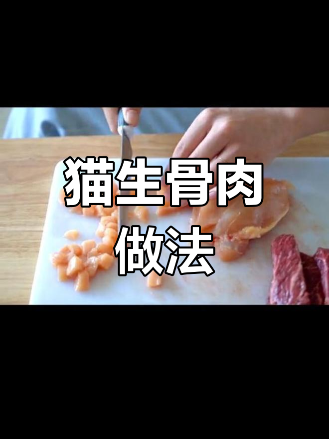 生骨肉制作全攻略,猫咪吃了更健康