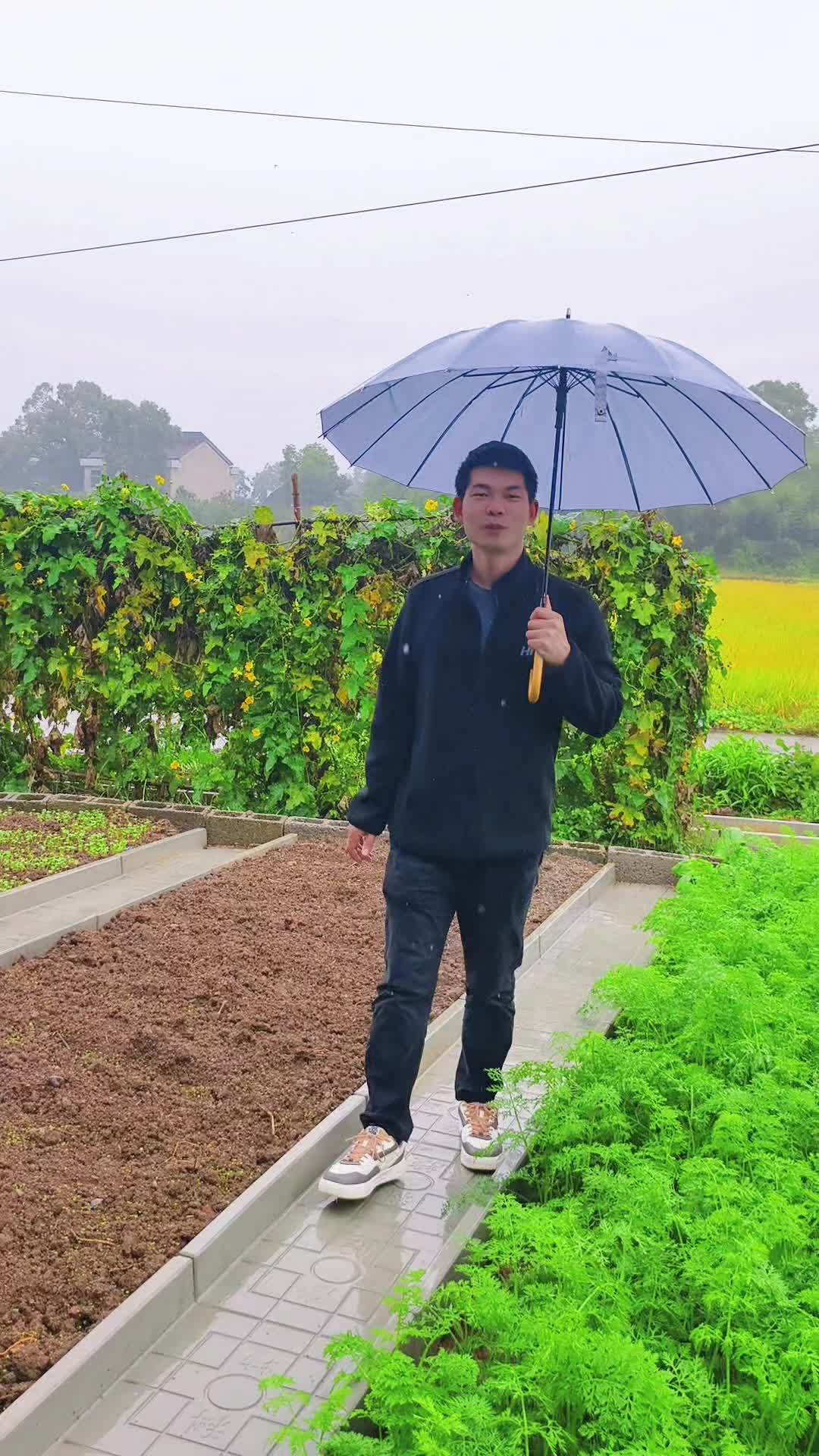 菜沟板 农村小院改造 小菜园 菜园改造 农村菜园设计