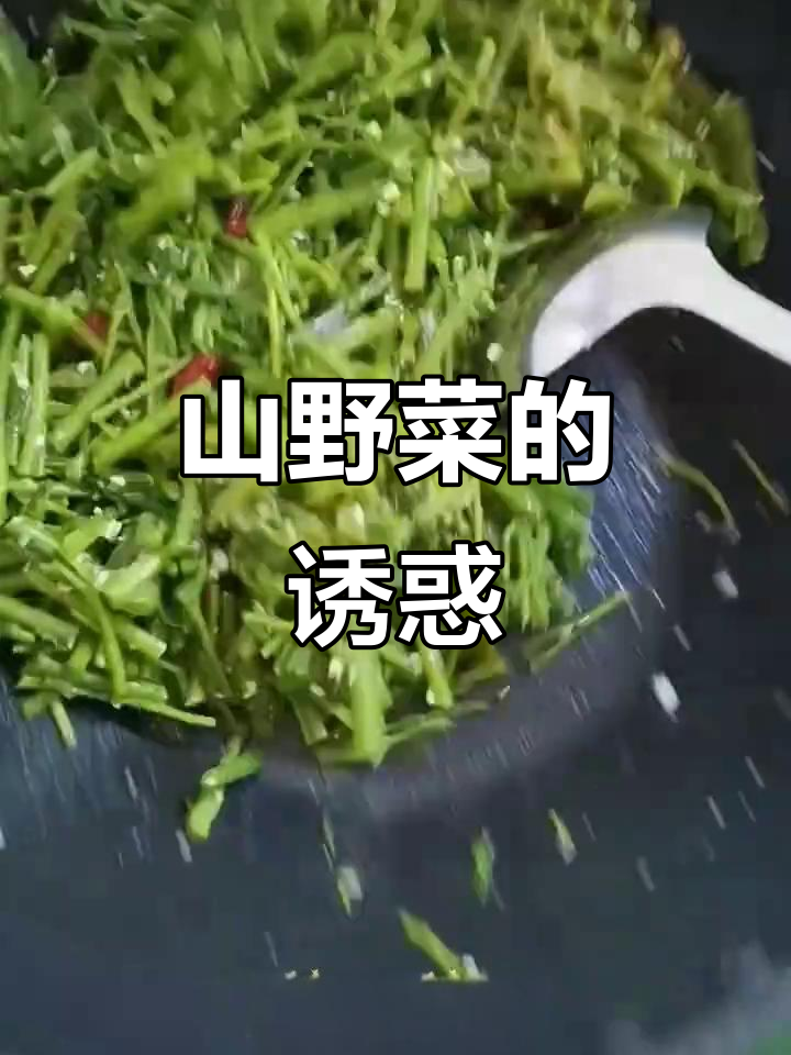 东北山野菜,男人做饭的绝配,富婆也难以抗拒!