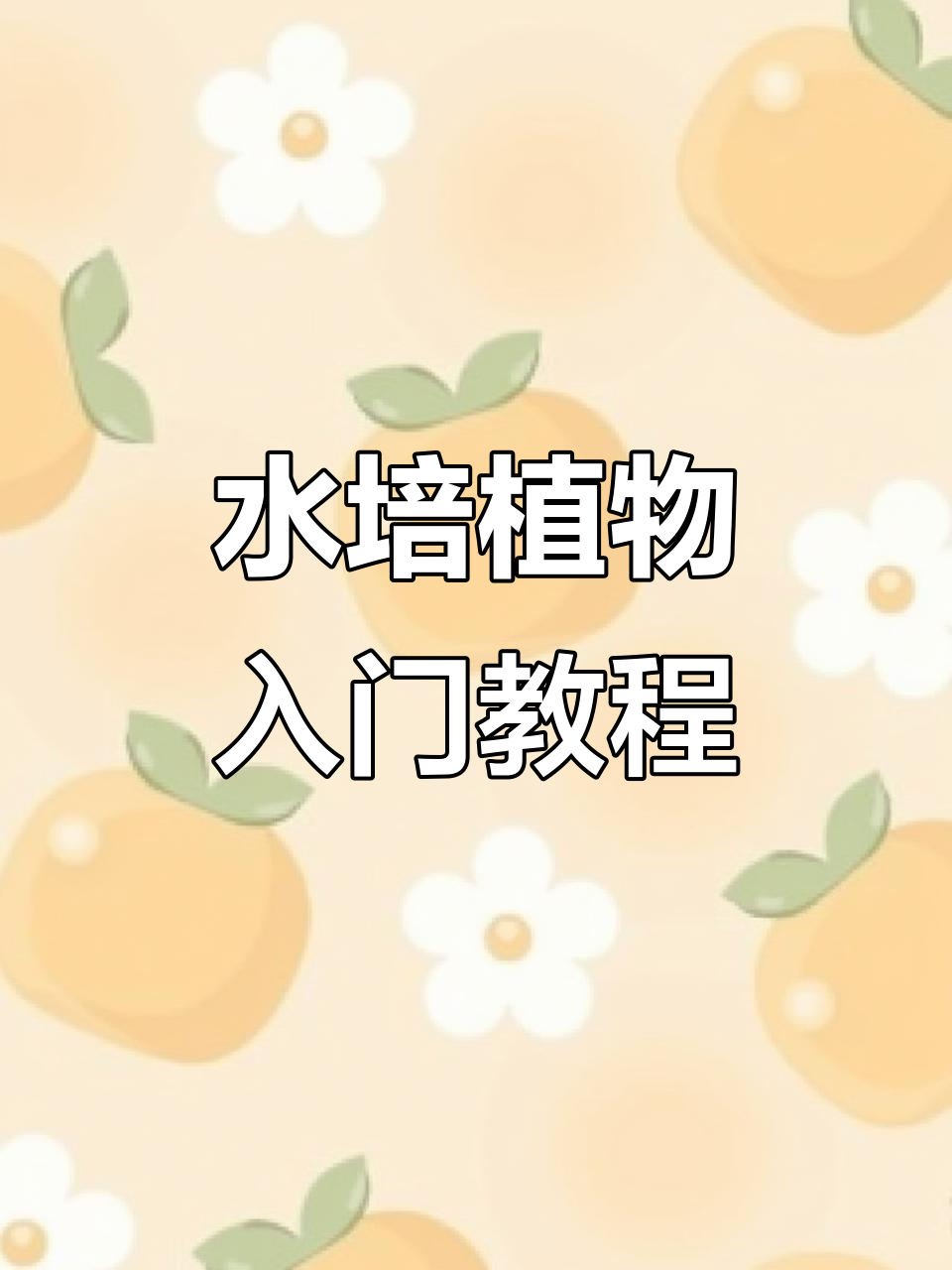 超简单水培植物教程，轻松搞定土培转水培