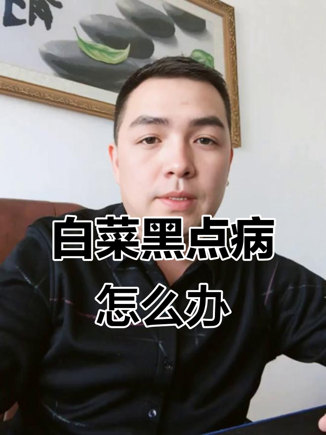 大白菜小黑点病能治吗?如何防治芝麻状斑点