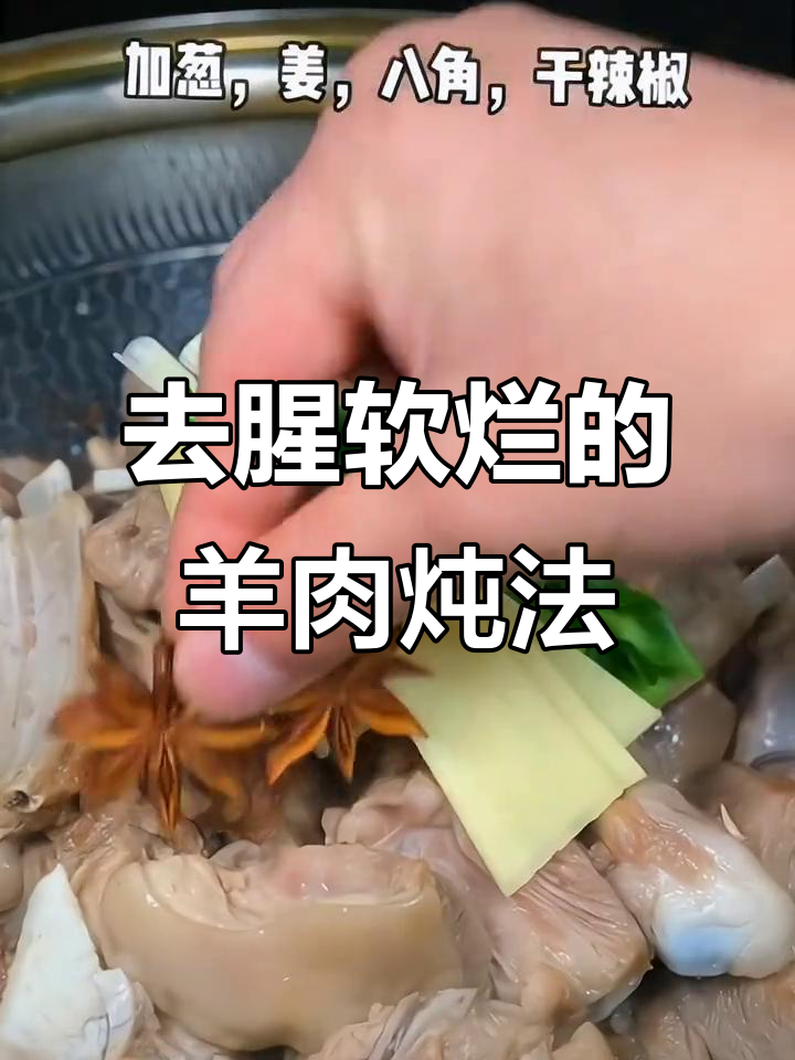 羊肉炖萝卜，去膻又入味，做法超简单