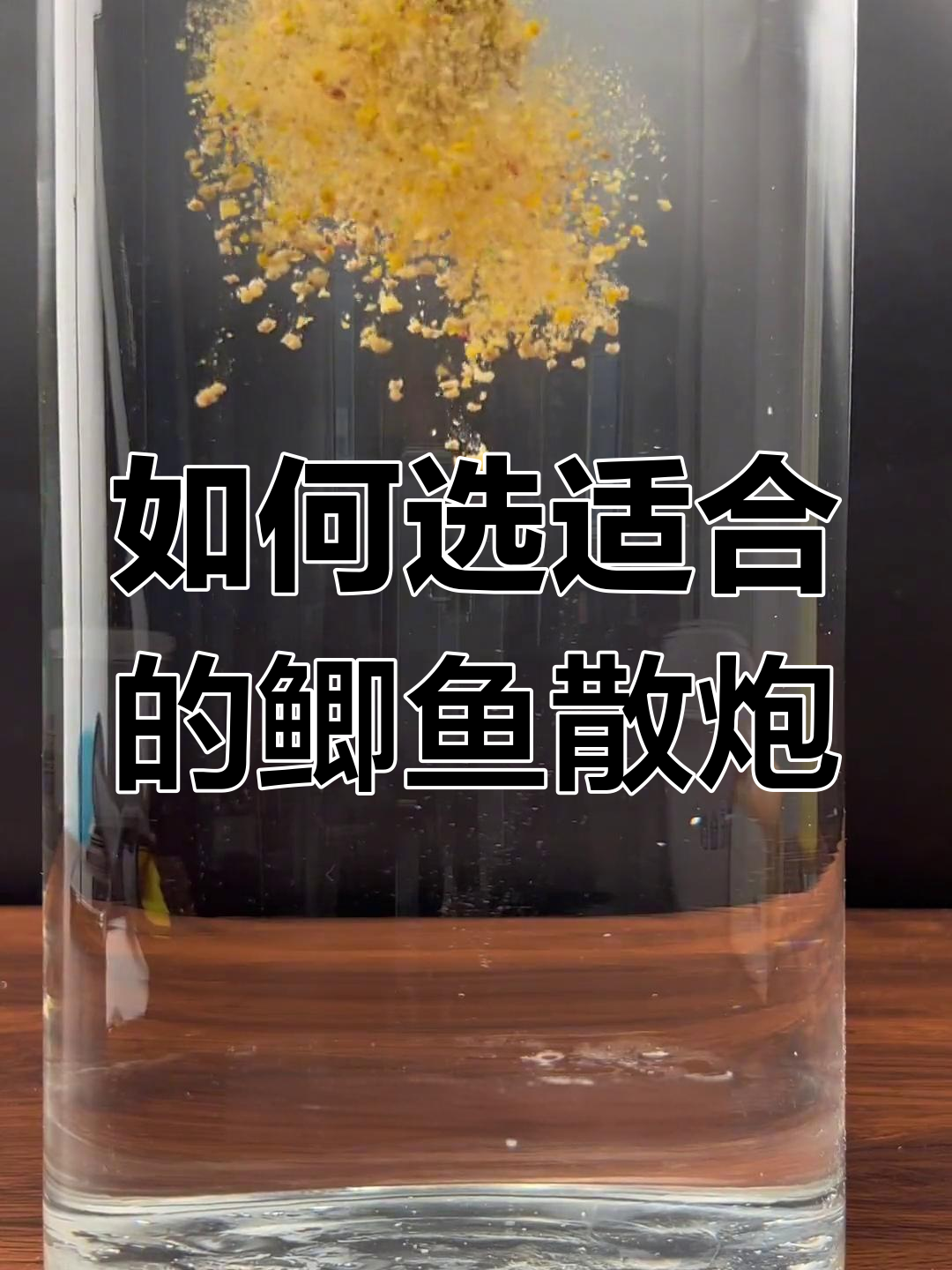 鲫鱼散炮选择指南:工程级与白挤的区别