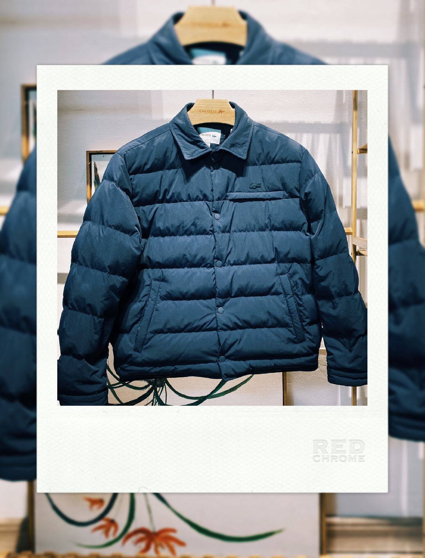 Lacoste法国鳄鱼羽绒服,暖意十足的冬季必备