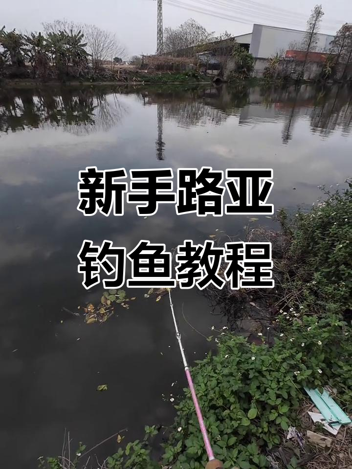 路亚新手必看！如何用假饵钓到鱼，实战技巧大公开